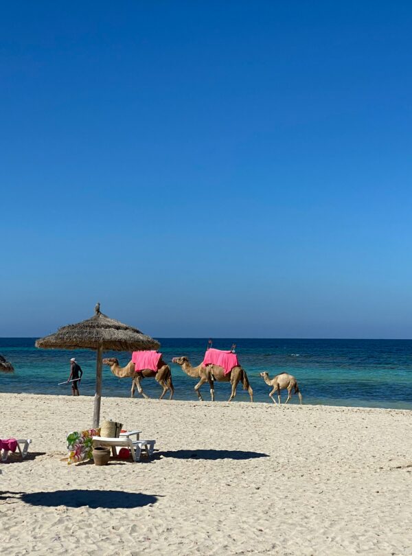 Djerba island Tunisia beach resort Djerbahood street art
