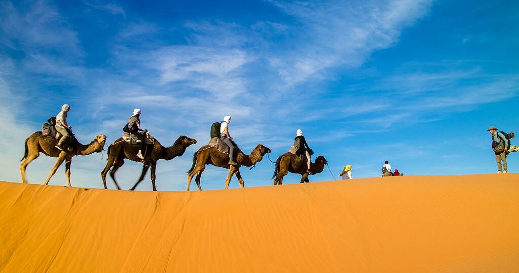 camel ride douz