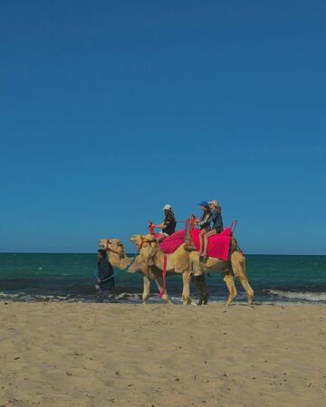 Beach Tours & Coastal Escapes
