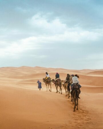 Desert Trekking & Camel Safaris