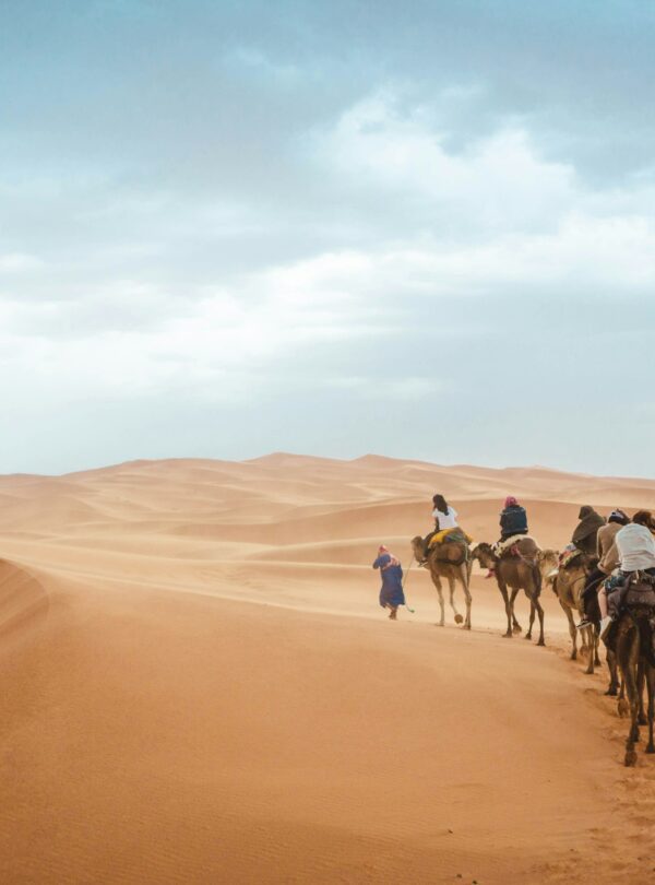 camel rides