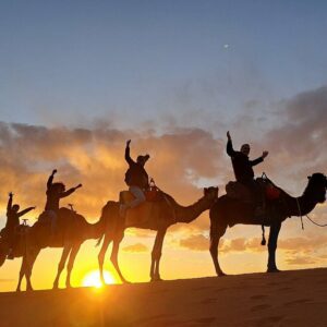 Camel Ride To see the Sunset