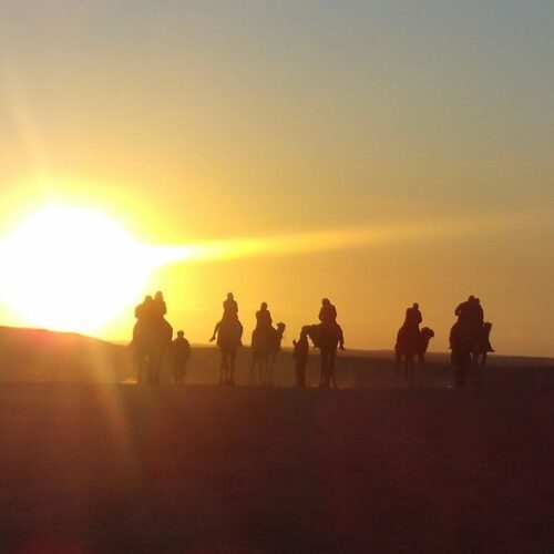 sunset camel trek in douz sahara dunes tunisia