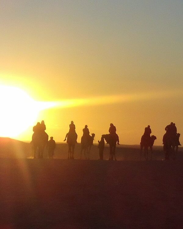 sunset camel trek in douz sahara dunes tunisia